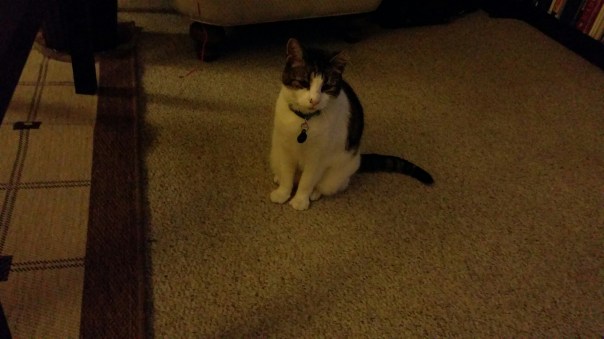 20150109_202433.jpg image