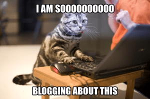 so-blogging